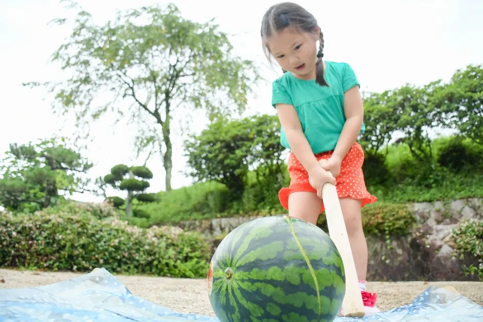 スイカゲーム配信で人気No.1になるにはどうすればいい?達人のコツを調査 日本ナンバーワン調査総研 No.1調査「専門」のリサーチ会社